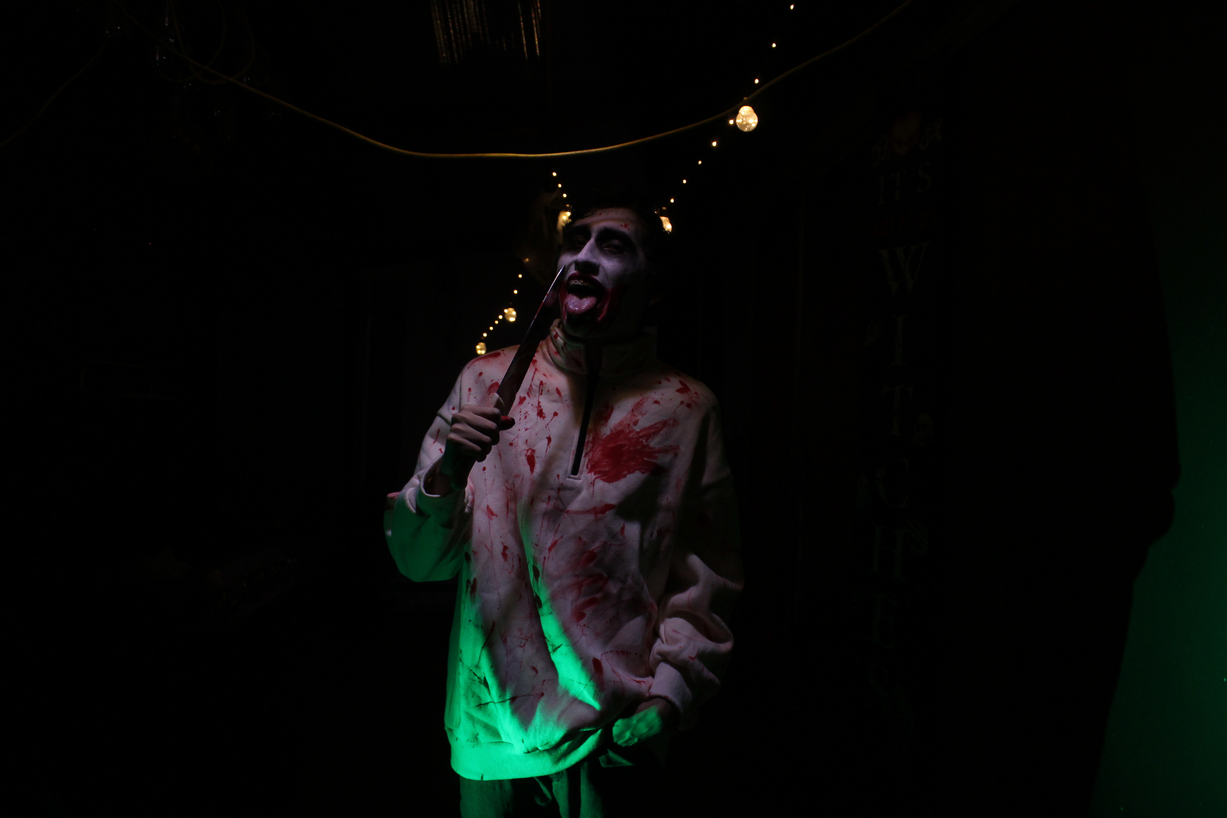 Retrato individual de Halloween